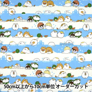 y5z n wIbNX MOFUNIMAL TbNX YPA-21000-2Ax KOKKA RbJ