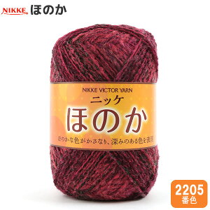 H~ю wق̂ 2205ԐFx NIKKEVICTOR jbPrN^[ yGfځz