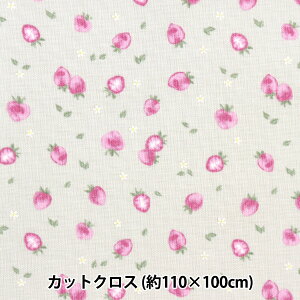 n wV[`O v`RNV  JbgNX 110×100cm x[W C-PTC-LBE-Cx