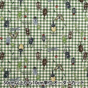 y5z n wIbNX JtLoX X̃q[[ O[ COCAN-HERO-GRx KOKKA RbJ