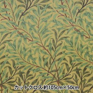 n wEBAX ~l[gJbgNX 105cm×50cm EB[{E C-R8113-21x