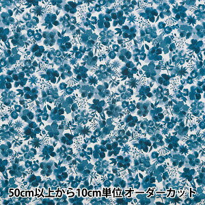 y5z n wNOVA V[`O\tg ʏ lCr[ NSE-WAFL2-NVx KOKKA RbJ yUIWiz