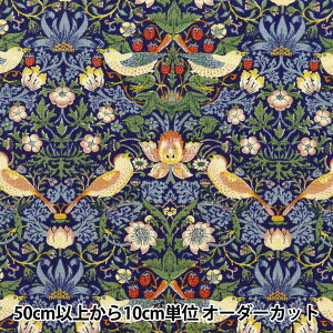 y5z n wV[`O V&A D_ lCr[u[ VA10001-Ax