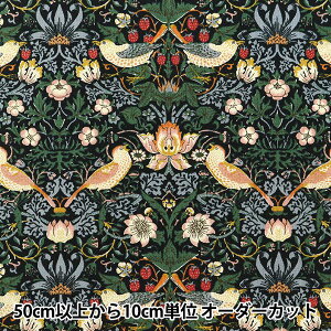 y5z n wV[`O V&A D_ ubN VA10001-Ex