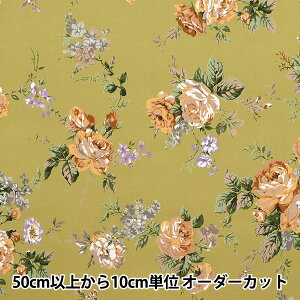 y5z n w60[ [Yԕ J[L LJK21-005-4x YUWA L֏X yU菤iz