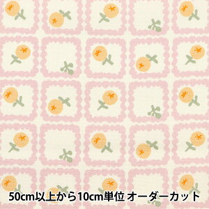 y5z n wIbNX Il kԕ sN ON10497-Bx