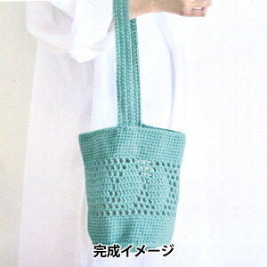҂ݕLbg wpunyeco_CobOLbg WF[hO[ A-001x SAWADA Vc