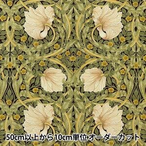 y5z n wV[`O V&A spl uE VA10004-Ax