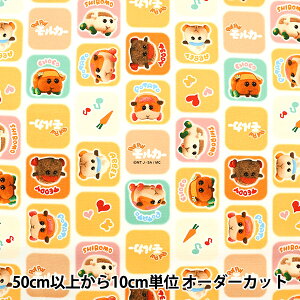 y5z n wIbNX PUIPUIJ[ CG[ A-7700-2Ax