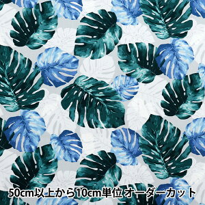 y5z n wIbNX nCA Xe O[×u[ AP52202-1Cx