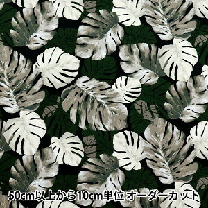 y5z n wIbNX nCA Xe ubN AP52202-1Ex