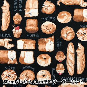 �y����5����z ���n �w�I�b�N�X NOVA���p���� �u���b�N NOX-DOBR-BK�x KOKKA �R�b�J