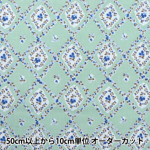 y5z n w60[ \tgH XNGA`[tԕ ~g SC10506-Dx