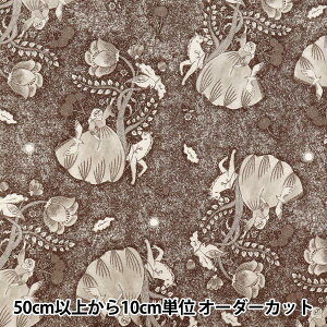 y5z n wȖV[`O Sanae Sugimoto Midnight Dream _[NuE EGX-9230-3Bx KOKKA RbJ