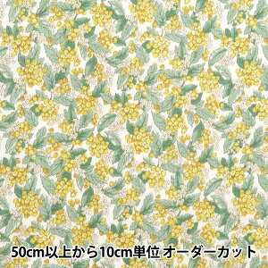 y5z n w ؂̎ CG[ 205041-3x