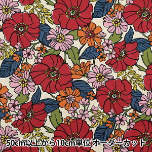 y5z n wIbNX W{ x[W YGA-71020-2Bx KOKKA RbJ