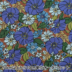 y5z n wIbNX W{ uE YGA-71020-2Dx KOKKA RbJ