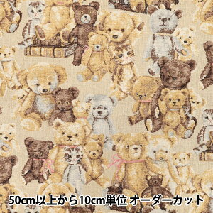 y5z n wȖLoX Suvg YGA-86010-1Ax KOKKA RbJ