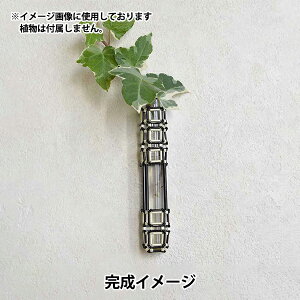 �r�[�Y�L�b�g �w�r�[�Y�ō���֑}���L�b�g �^�C�� BHD-193�x MIYUKI �~���L