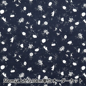 y5z n wMUDDY WORKS(}fB[NX) [ X lCr[ EKX-142-Cx KOKKA RbJ