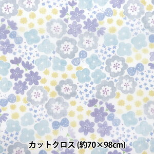 n w`[vgJbgNX kԕ 70cm×98cm C-TDP6260-01x yUIWiz