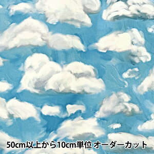 y5z n wUSARbg A[eBXgE_[h XJC T4896-16x