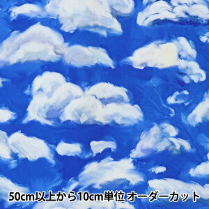 y5z n wUSARbg A[eBXgE_[h NEh T4896-288x