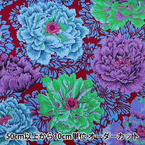 y5z n wUSARbg Kaffe Fassett uP[hEsIj[ PJ062-COOLx