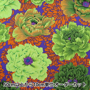 y5z n wUSARbg Kaffe Fassett uP[hEsIj[ PJ062-MOSSx