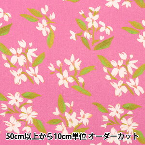 y5z n wUSARbg dearSTELLA POSIES DCWR2130-RASBx