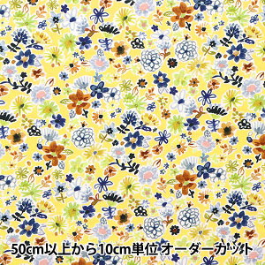 y5z n wUSARbg dearSTELLA Cht[ DJL2241-MULTIx