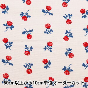 y5z n wI[KjbNIbNX }fB[[NX ~jo EKX-137-2Ax KOKKA RbJ