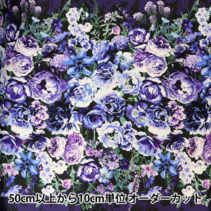 y5z n wUSARbg t[Eh[X ԕ FLEUR-CD8876x