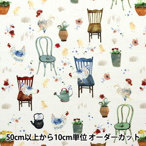 y5z n wUSARbg Jg[ CD1096-CREAMx