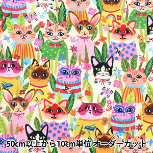 �y����5����z ���n �wUSA�R�b�g�� FUNNY FELINES �N���[�� DDC10613-CREAM-D�x