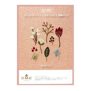 hイLbg w}JxAX 12̃`[tƐ̂ 9 Ĥ JPT59x DMC fB[GV[