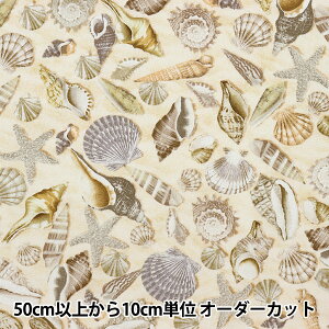 �y����5����z ���n �wUSA�R�b�g�� �V�F���Y �L�k�� C5353-SHELLS�x