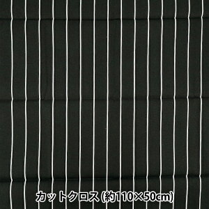 n wu[h jtH[XgCv JbgNX 110cm×50cm × C-SP5400-Ix