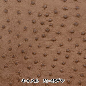 U[f wI[Xgb`^ ؊v L 51`55fVx