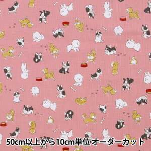 y5z n wV[`O `rv `r sN YKA-81010-4Ax KOKKA RbJ