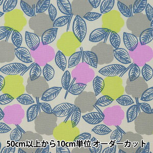 y5z n wI[KjbN IbNX PIKKU SAARI  EGX-4007-3Ax KOKKA RbJ