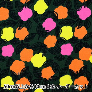 y5z n wI[KjbN IbNX PIKKU SAARI  EGX-4007-3Bx KOKKA RbJ