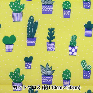 サボテン 布の人気商品 通販 価格比較 価格 Com