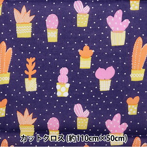 n wkippis (LbsX) [ JbgNX 108cm×50cm T{e lCr[ KPLK-09Cx