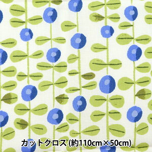 n wkippis (LbsX) V[`O JbgNX 108×50cm S zCg×u[ KPSK-55Bx