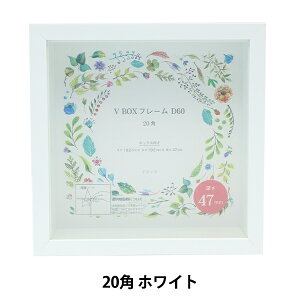 z wBOXt[ 20p zCg VBD60-20SWx