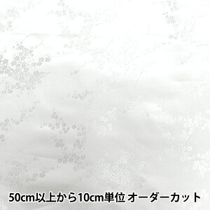 y5z n wRX`[`CiuP[h ~̉ n× NDC8701-U02WWx