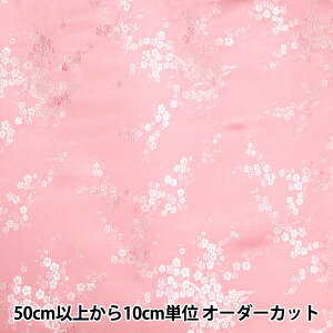 y5z n wRX`[`CiuP[h ~̉ n× NDC8701-U22PPx