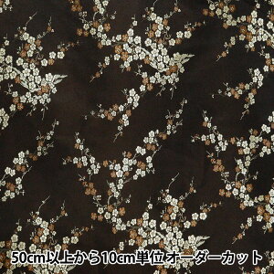 y5z n wRX`[`CiuP[h ~̉ n× NDC8701-U97BGx