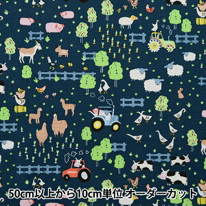 y5z n wUSARbg Aj}Et@[ 2033-GRAPHITEx